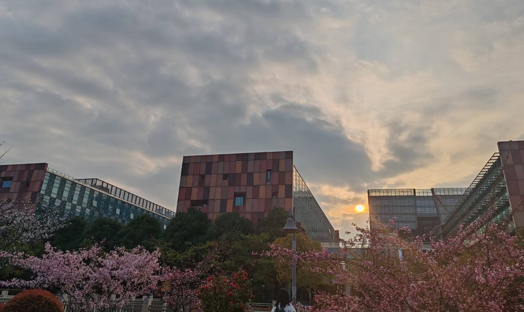 campus sunset
